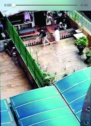 司警酌?查?涉虐狗