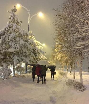新疆局地积雪高达大腿今明局地仍有暴雪