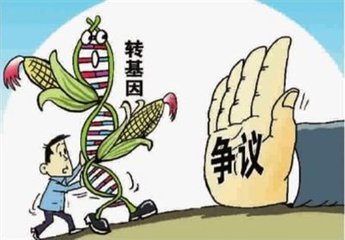 转基因冒充非转基因将构成食品宣传欺诈