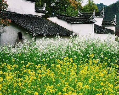 春季旅游“租车自驾”唱主角神州租车引游客青睐