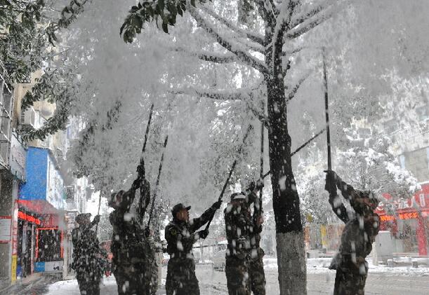 大雪压垮树枝阻碍通行神农架消防冒雪出险