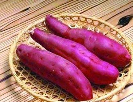 早上吃红薯更容易减肥红薯怎么吃更减肥