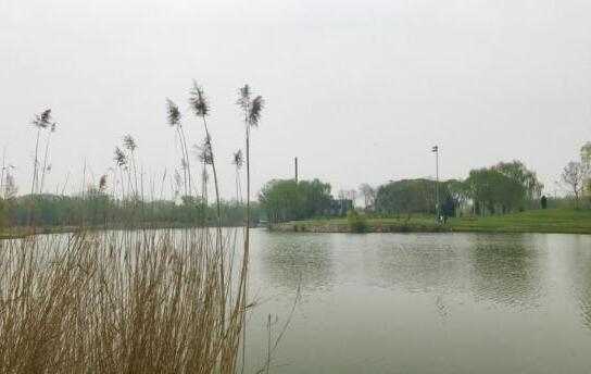 白洋淀景区旅游热引当地渔民忐忑传统渔业生态被改变