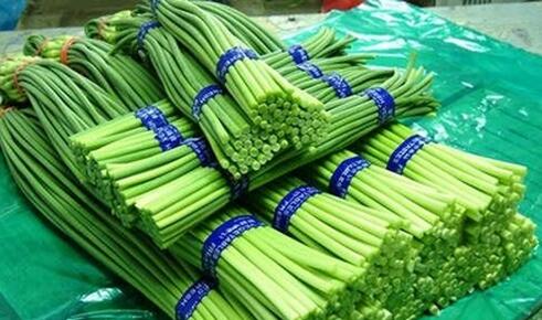 吃蒜苔可预防流感推荐3款简单的食谱