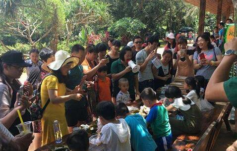 端午假期全国游客8260万旅游收入337亿元