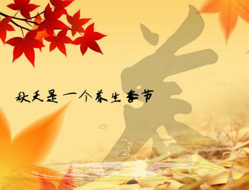 u=3771758911,1512002030&fm=26&gp=0
