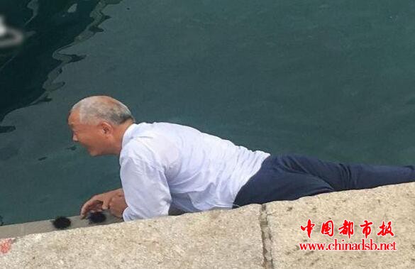 中游客捕海胆生吃 吃海胆有什么禁忌