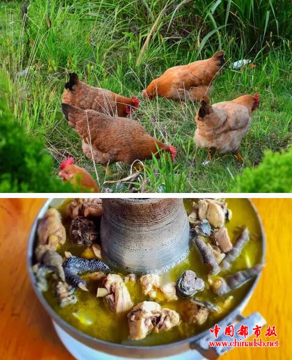 国民老公有多壕?王思聪做饭食材全进口