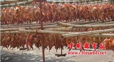 中国十大禁菜之一, 炭烤乳羊你见过吗?