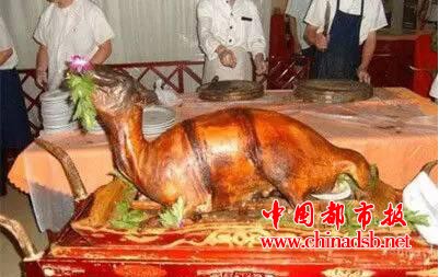 中国十大禁菜之一, 炭烤乳羊你见过吗?