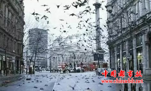 洪都拉斯每隔100多年就会出现一次“空中降鱼”