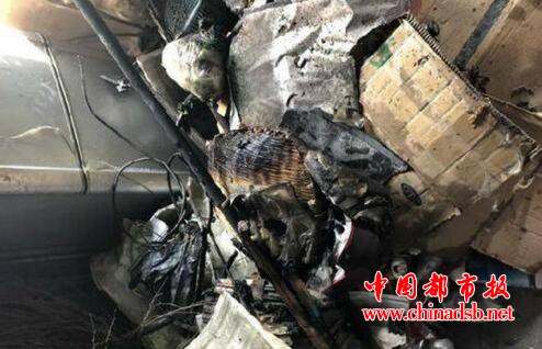 熊孩子点火吓唬狗