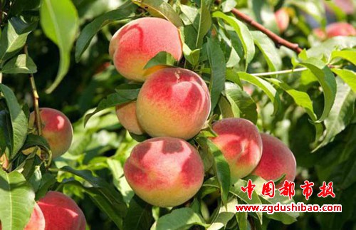 微信图片_20190618092705