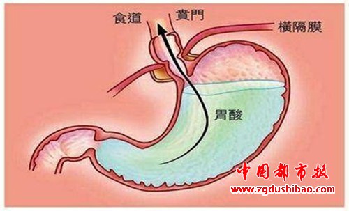 微信图片_20190623175150