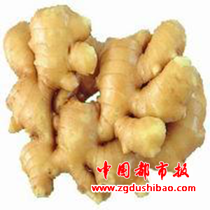 图片16