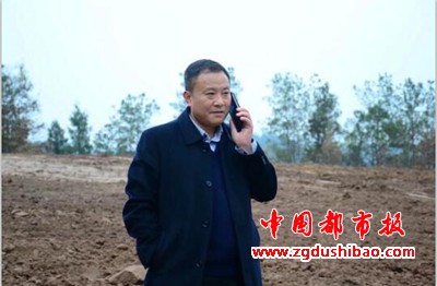 图片21