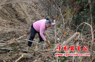 图片22