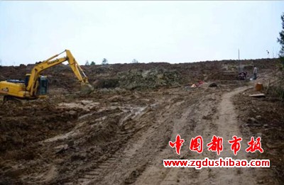图片23