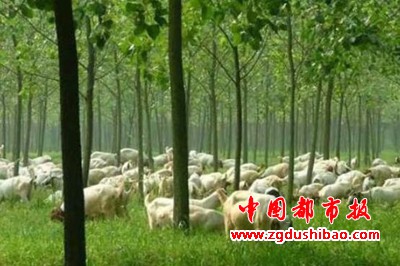 图片27