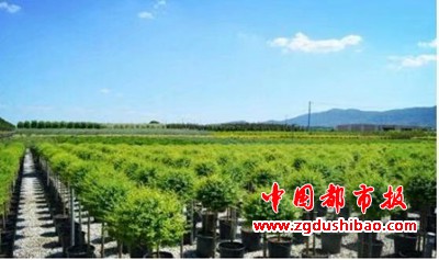图片28