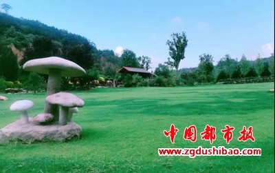 微信图片_20200531230913