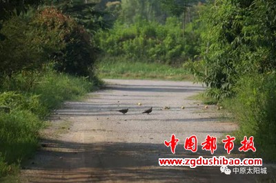 微信图片_20200613090025