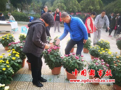 图片5