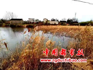 微信图片_20201128133817