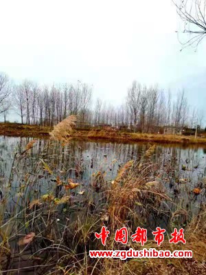 微信图片_20201128133823