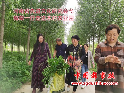 图片6