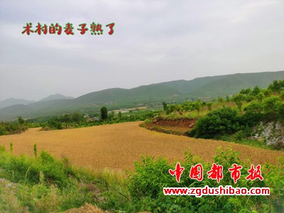 图片9