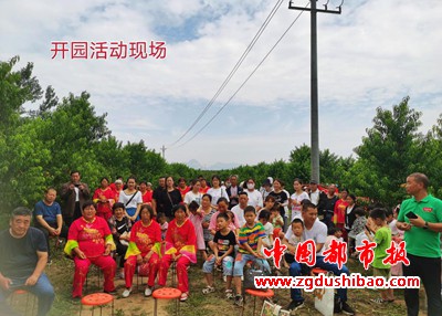 图片10