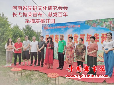 图片11