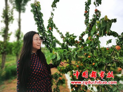 图片12