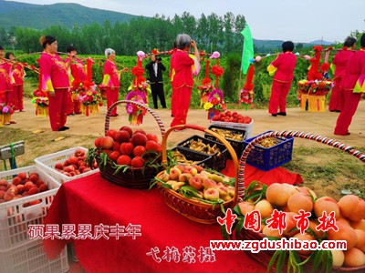 图片13