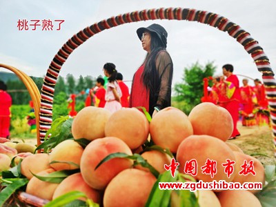 图片14