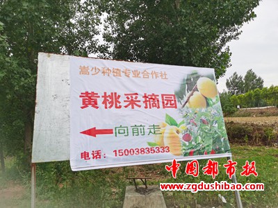 图片15