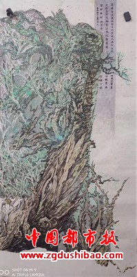 图片9