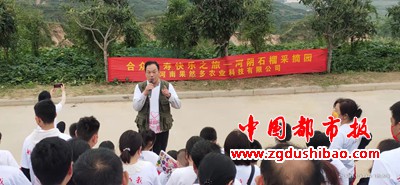 图片15