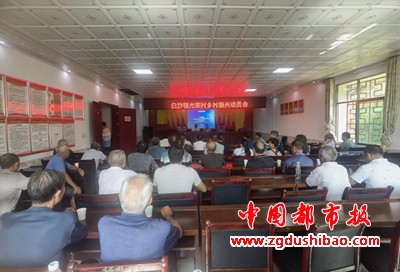 图片31