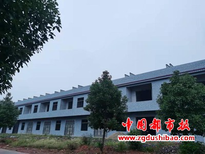 图片37