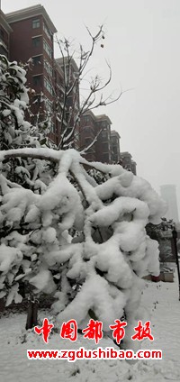 微信图片_20220105084802