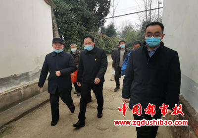 图片7