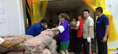 图片8
