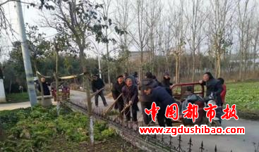 图片9