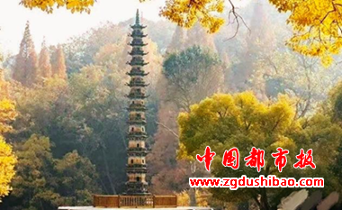 图片6