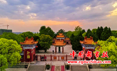 图片7