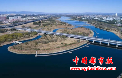 图片21