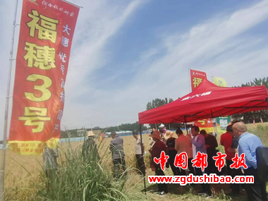 图片8