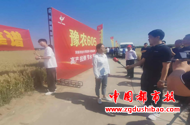 图片10